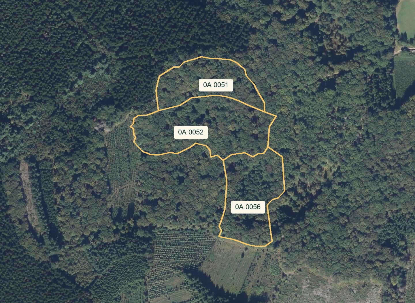 IGN aerial view of the sample selection in Saint-Brisson