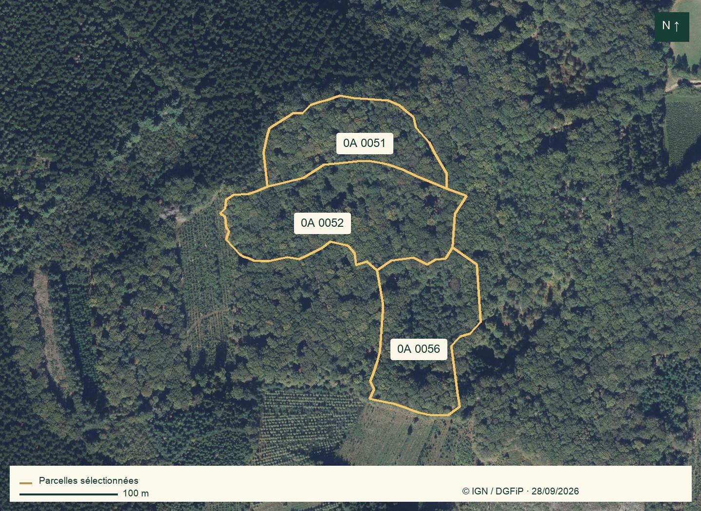 Carte réelle IGN des trois parcelles de Saint-Brisson