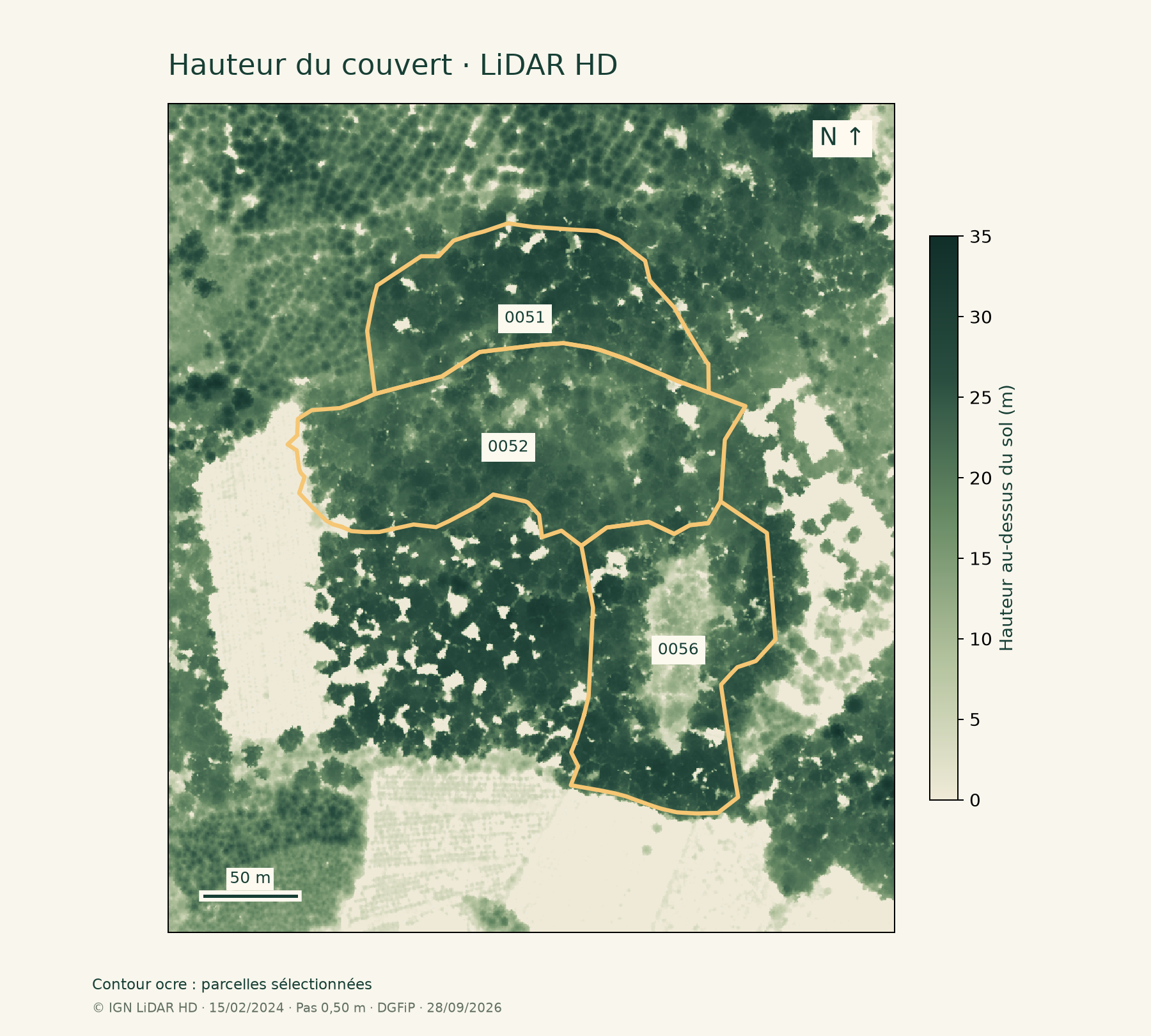 Carte réelle des hauteurs LiDAR de l’exemple